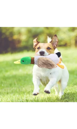 Sesli Ördek Şekilli Peluş Köpek Oyuncağı