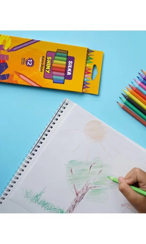 Silka Kuru Boya Shıny Tam Boy 12 Li