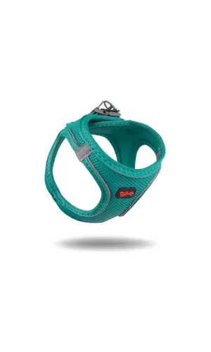 Tailpetz Air Mesh Köpek Göğüs Tasması 3XSmall 24-28 cm Emerald
