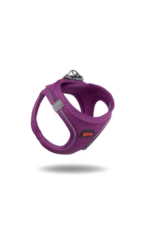 Tailpetz Air Mesh Köpek Göğüs Tasması 3XSmall 24-28 cm Mor
