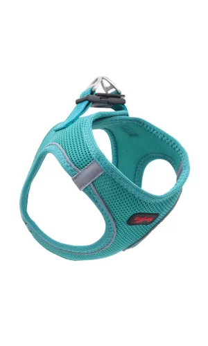 Tailpetz Air Mesh Köpek Göğüs Tasması Large 48x54 cm Yeşil