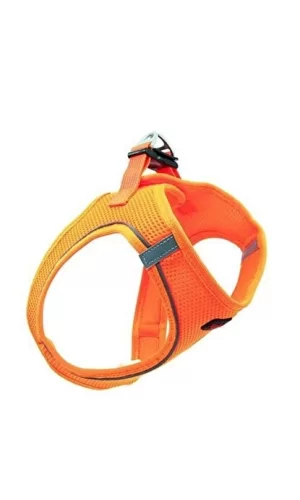 Tailpetz Air Mesh Köpek Göğüs Tasması Medium 44x48 cm Turuncu