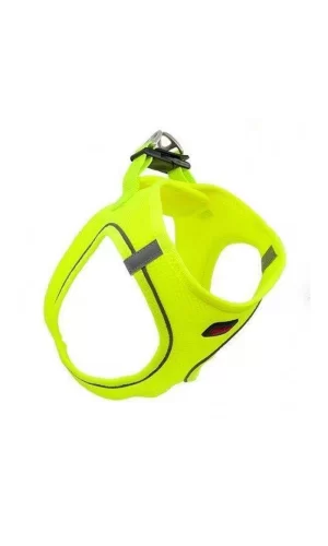 Tailpetz Air Mesh Köpek Göğüs Tasması X Large 54x60 cm Neon Lime