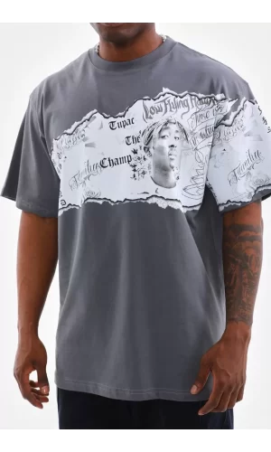 Luz&Pos Unisex Bisiklet Yaka Baskılı Oversize T-shirt - Gri