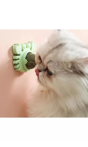 Yengeç Kedi Otu Oyun Topu