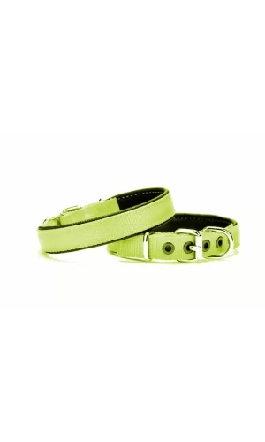 Yumuşak Doku Köpek Boyun Tasması 2/45 cm Yeşil