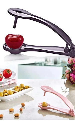 Zeytin Çekirdeği Çıkartma Aparatı