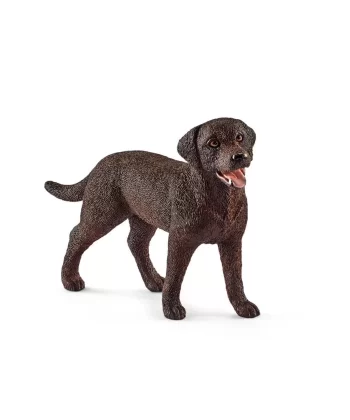 13834 Schleich - Dişi Labrador Retriever  +3 Yaş