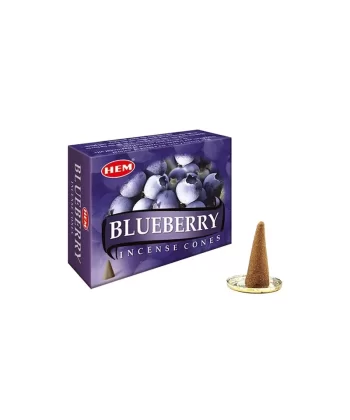 Blueberry Cones