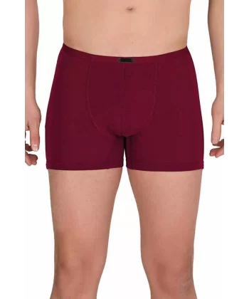 Erkek Modal Boxer Short Bordo 4488B