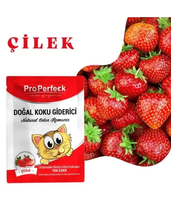 Pro Perfeck Çilek Kokulu Koku Giderici 25 gr