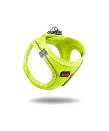 Tailpetz Air Mesh Köpek Göğüs Tasması 3XSmall 24-28 cm Neo Lime