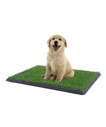 Yavru Köpek Tuvalet Eğitim Parkı 3 Katmanlı - 45cm X 32 Cm