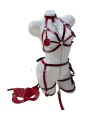 Deri Özel Harness İkili Takım Set 0386-800398KB