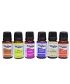 Fresh Assorted Fragrance Oil 24lü Set