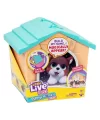 Lpp01110 Little Live Pets Yavru Köpeğim Ve Evi - 26571