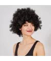 Siyah Renk Kıvırcık Afro Bonus Peruk