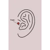 316L Çelik Gümüş Renk Zirkon Taşlı Sonsuzluk Model Tragus Piercing