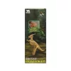 3563 Crazoo Dinozor Figürlü 3d Kazı Seti