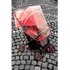 Bebek Arabası Toz Ve Sinek Koruyucu