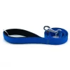 Doggie Comfort Köpek Gezdirme Kayışı 2,5*120 cm Mavi