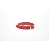 Doggie Deri El Yapımı Köpek Boyun Tasması 2x30-35 cm Kırmızı