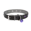 Doggie Taşlı Kedi ve Yavru Köpek Tasması 1*23 cm Mavi Medium