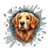 Fulcar Golden Araç Stickerı
