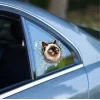 Fulcar Siamesse Araç Stickerı