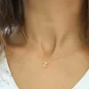 Luz&Pos Gümüş 3 Boyutlu Z Harf Gold Bayan Kolye