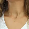 Luz&Pos Gümüş Gold 3 Boyutlu B Harf Bayan Kolye