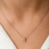 Luz&Pos Gümüş Rose 3 Boyutlu R Harf Bayan Kolye