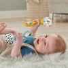 Hmf34 Fisher-price Neşeli Marakas