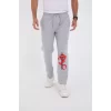 Luz&Pos Kışlık Üç İplik Baskılı Eşofman Pantolon - Gri