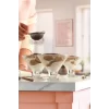 Lav Crema 6lı Dondurmalık Tatlı Servisi