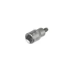 Lokmalı (star) Torx Bits Uç - T60 (10 Adet)