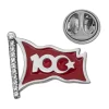 Luz&Pos Gümüş Ay Yıldız 100.yıl Rozet