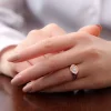 Luz&Pos ​gümüş Ayarlanabilir Rose Kuzey Yıldızı Şovalye Yüzük