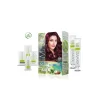 Natural Beauty Amonyaksız Saç Boyası 3.66 Patlıcan Moru