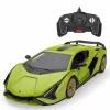 Nessiworld  1:18 Lamborghini Sian FKP 37 Uzaktan Kumandalı Model Araç Montaj Kiti