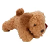 Nessiworld  Cockapoo Peluş Köpek 25 cm