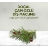 Nessiworld  Eyüp Sabri Tuncer Doğal Diş Macunu 90 Gr Çam Özlü