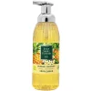 Nessiworld  Eyüp Sabri Tuncer Doğal Zeytinyağlı Köpük Sabun 500 ml Hawaii Ananas