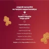 Nessiworld  Humm Organik Zencefilli ve Tarçınlı Vegan Kurabiye 55 Gr