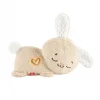 Nessiworld HXG97 Fisher-Price Uyku Arkadaşım Tavşancık