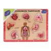 Nessiworld  ONY-287 288 Ahşap Tutmalı Vücumuzu Tanıyalım -Onyıl Oyuncak