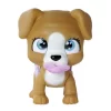Nessiworld  Pamper Petz Köpek
