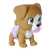 Nessiworld  Pamper Petz Köpek