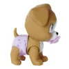 Nessiworld  Pamper Petz Köpek
