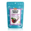 Nessiworld  Pol’s Freeze Fresh Magic Ball Böğürtlenli Elma Topları 16 gr